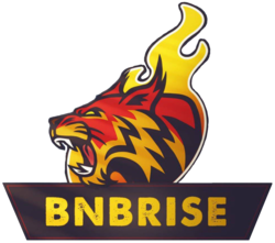 BNBRise